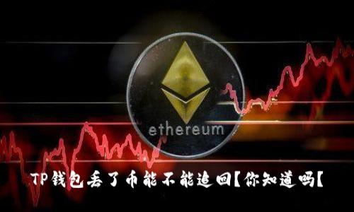 TP钱包丢了币能不能追回？你知道吗？