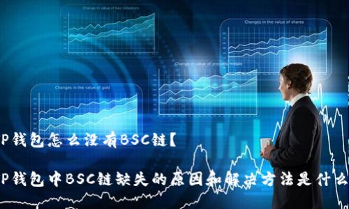 TP钱包怎么没有BSC链？

TP钱包中BSC链缺失的原因和解决方法是什么？