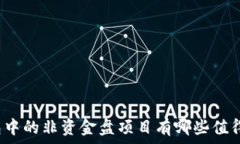   TP钱包中的非资金盘项目有哪些值得关注？