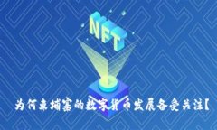  为何柬埔寨的数字货币发展备受关注？