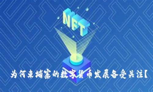  为何柬埔寨的数字货币发展备受关注？