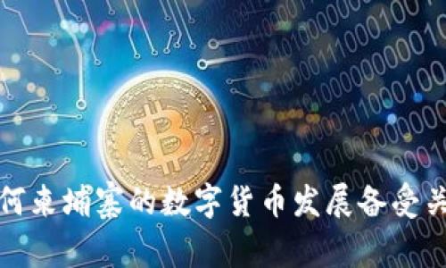  为何柬埔寨的数字货币发展备受关注？
