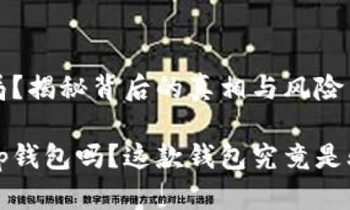 t p钱包是骗局？揭秘背后的真相与风险

你真的了解t p钱包吗？这款钱包究竟是骗局还是机会？