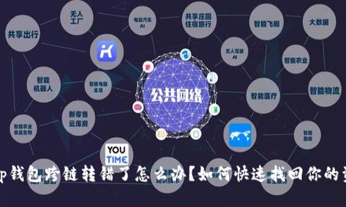 : t p钱包跨链转错了怎么办？如何快速找回你的资产？