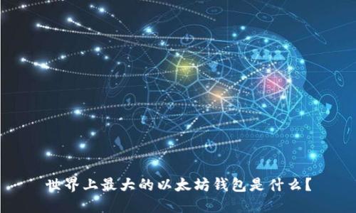 世界上最大的以太坊钱包是什么？