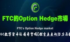 : POC数字货币还有希望吗？探索未来的潜力与挑战
