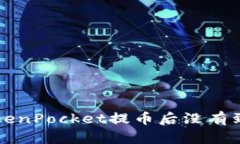 为什么我在TokenPocket提币后没有到账？该怎么办？