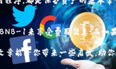 xiaotit p钱包bnb-1和bsc-1的区别是什么？/xiaotitp钱包