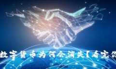 TP钱包的数字货币为何会消失？看完你就明白了