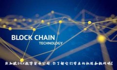 新加坡SGX数字货币公司：你了解它们带来的机遇