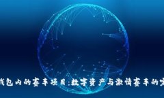 探索TP钱包内的赛车项目：数字资产与激情赛车的