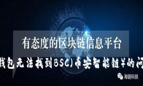 如何解决TP钱包无法找到BSC（币安智能链）的问题：全面指南