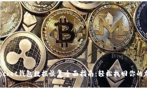 TokenPocket钱包数据恢复全面指南：轻松找回你的加密资产