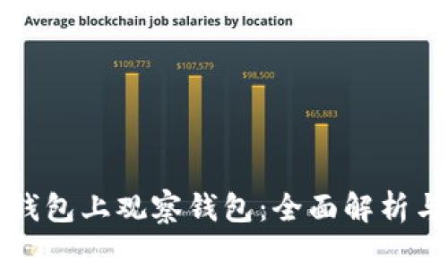 如何从TP钱包上观察钱包：全面解析与实用技巧