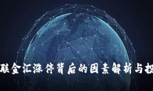 数字货币海联金汇涨停背后的因素解析与投资机会探索