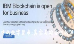 TP钱包中的数字货币：真实与安全性的深度探讨