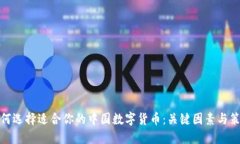 如何选择适合你的中国数字货币：关键因素与策